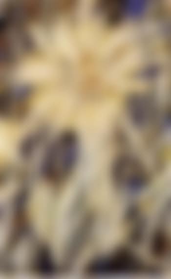 Chrysanthemum (preview)