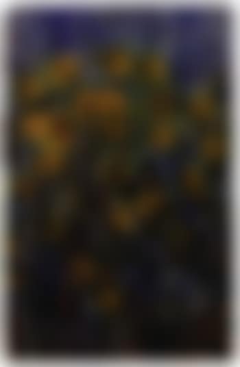 Yellow bloom on dark background (preview)