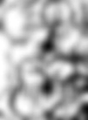 Empreinte de violin (preview)