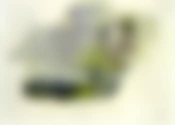 Landscape dress (preview)