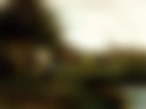 Milking time (preview)