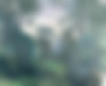 Clearing (preview)