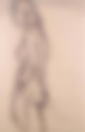 Female nude (preview)