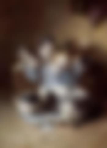 Delogirt (preview)