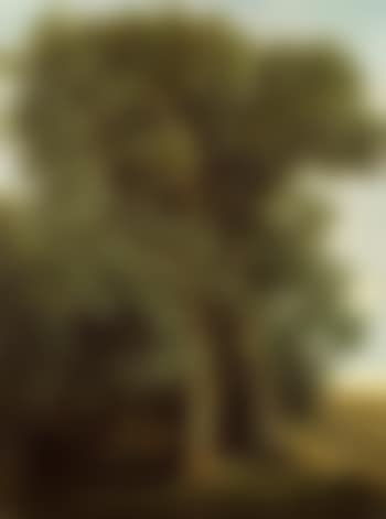 Study of trees in a landscape (preview)