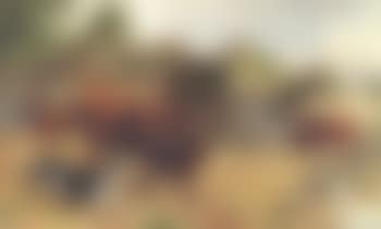 Farmyard scene with a Devon red bull. Devon red bull in a moorland landscape (preview)