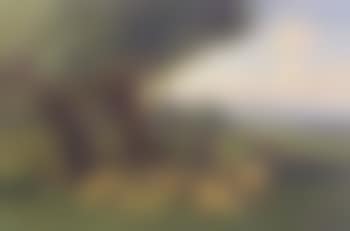 Near Amberley, Sussex, flock of sheep. Cattle watering on the River Stour, Kent (preview)