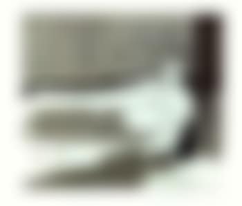 Languid a floating flower (preview)