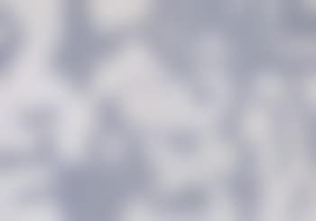 Grey (preview)