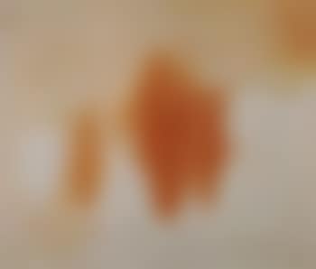 Study (preview)