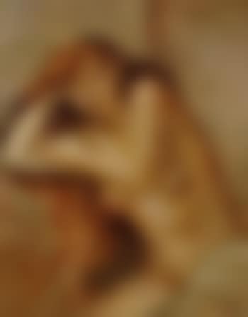 Modele roux (preview)
