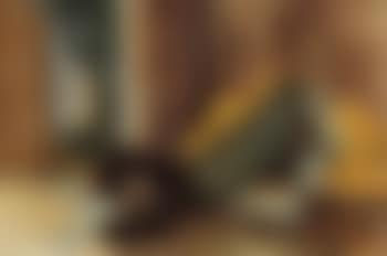 Sleeping figure (preview)