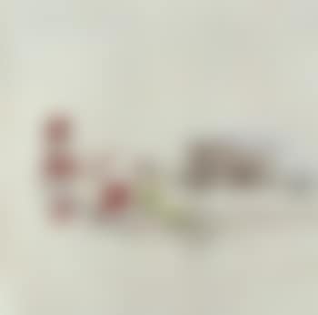 Tete de veau (preview)
