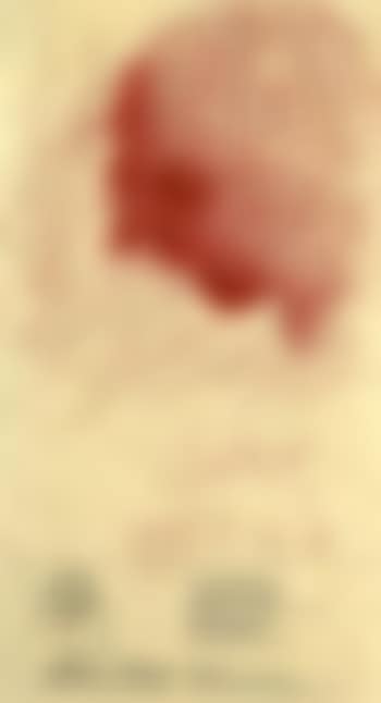 Tete de profil (preview)