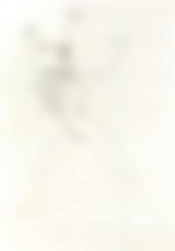 Mrs Holle (preview)