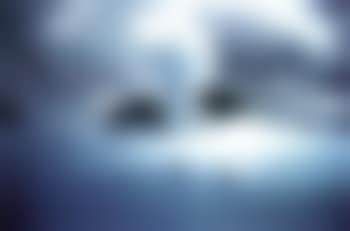 Iceland (preview)