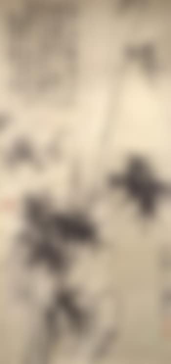 Bamboo and rock (preview)