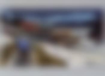 Schonried (preview)
