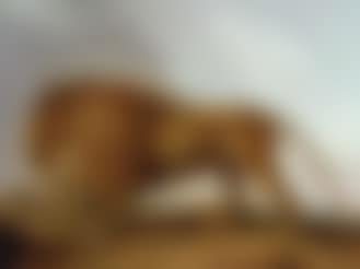 Lion in a landscape (preview)