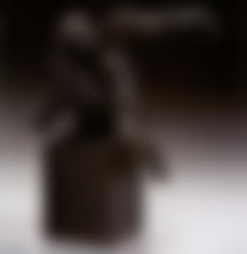 Cry of the earth (preview)