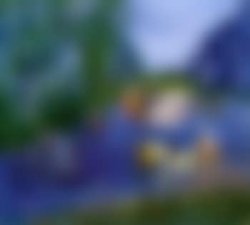 Caleches et cavaliers au Bois de Boulogne (preview)