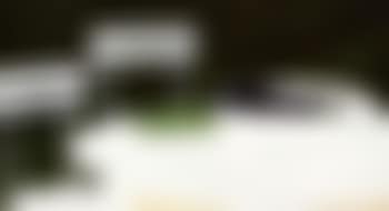 Les raisins a Loupeigne (preview)