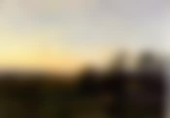 Fox at twilight (preview)