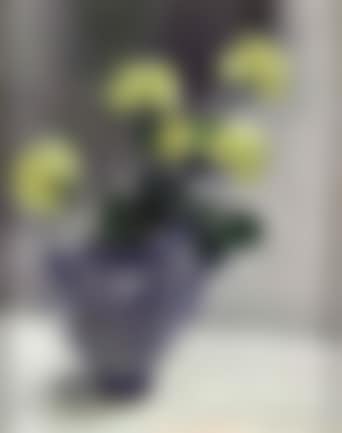 Still life of yellow roses in jug (preview)