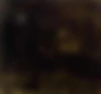 Death watching the greed (preview)