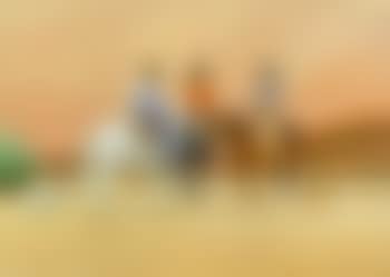 Meeting in the canyon (preview)
