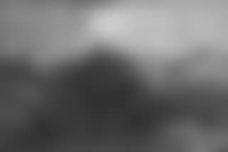 Landscape (preview)