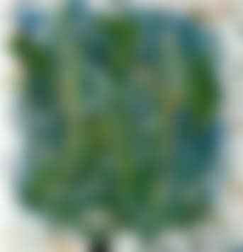 Composition (preview)