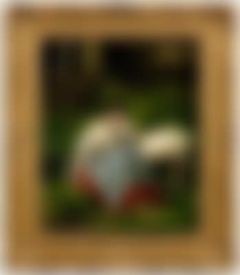 Shepherdess in woodland setting with two goats (preview)