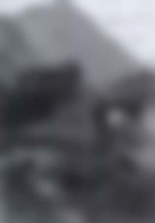 Cows on alpine pasture (preview)