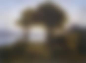 Vierwaldstattersee and Lucern (preview)