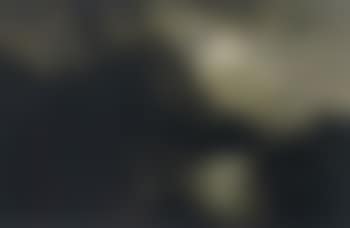 Moonlit night (preview)