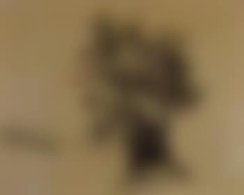 Oak tree by path (preview)