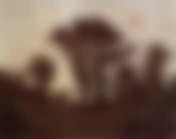 River landscape (preview)