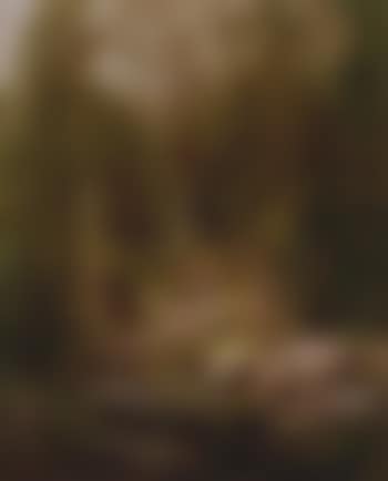 Rattlesnake run (preview)