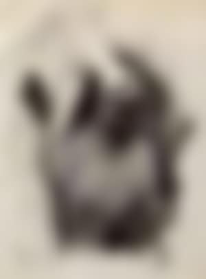 Chirgwin the white-eyed kaffir (preview)