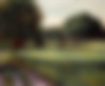 Firle Park (preview)