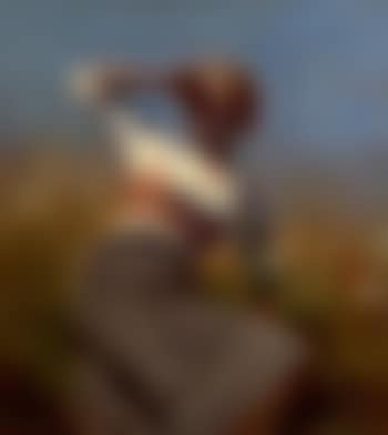 In the sun (preview)