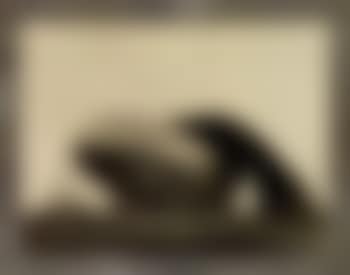 Airship Akron (preview)