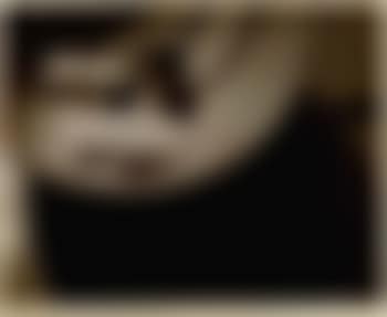 Nature morte III (preview)
