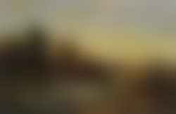 Meadow landscape wth birds (preview)