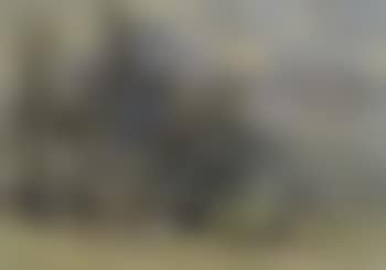 Mountain view (preview)