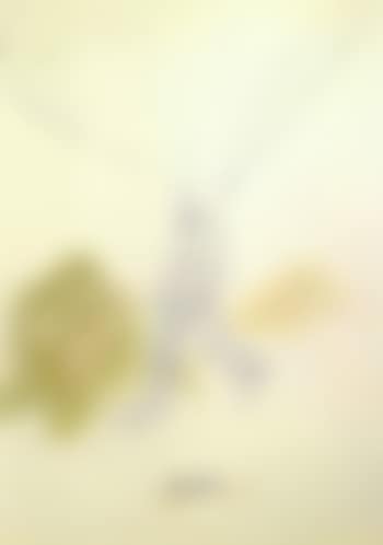 Atom (preview)