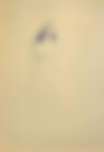 Nude (preview)