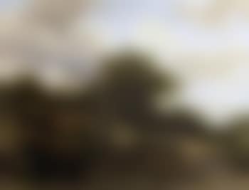 Summer landscape with watermill by stream (preview)