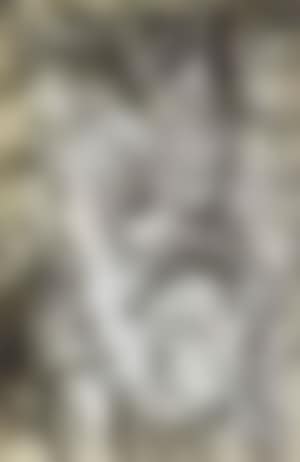 Woman (preview)